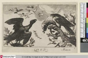 Aer [Air: Birds; Die Luft]