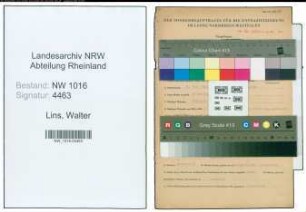 Entnazifizierung Walter Lins , geb. 10.06.1905 (Zollsekretaer)