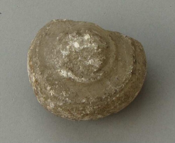 Sphère en pierre (fragment)