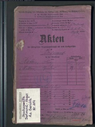 Angeklagter: Hatton, Franz; Angeklagter: Hatton, Theodor: Landfriedensbruch (Plünderungen usw. in Hamm am 3.- 4.7.1919)