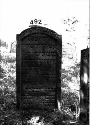 Grabstein 492