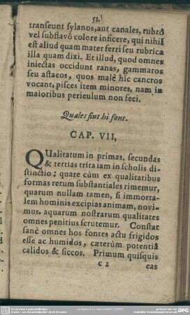 Quales sint hi font. Cap. VII.