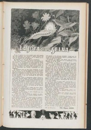 La joya de la selva