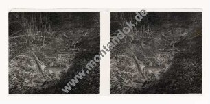 Eingefallener Stollen der Haingrube (Kellerwald/Hessen); Alter des Stollens etwa 30 Jahre alt, August 1952