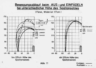 Bewegungsablauf beim AUS- und EINFÄDELN bei unterschiedlicher Höhe des Spaltansatzes (Färse, Widerrist 117 cm)