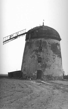 Falkenhain-Meltewitz. Turmholländer