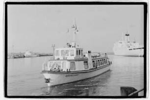 Der Stralsunder (1957), Weiße Flotte, Stralsund