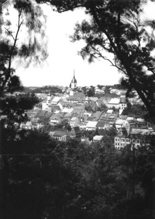 Roßwein. Stadtansicht mit Stadtkirche Sankt Marien. Blick vom Hartenberg nach Nordwesten