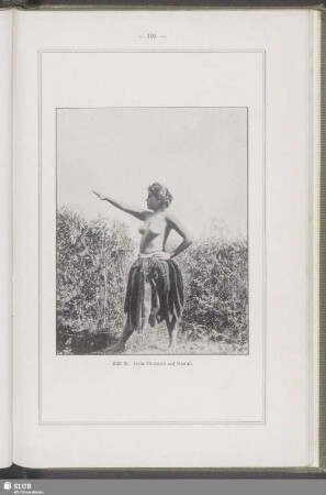 Hula-Tänzerin auf Hawaii