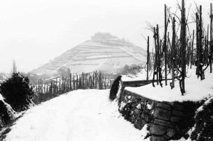 Staufen: Weinbergweg mit Burg im Schnee