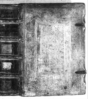 Biblia utriusque Testamenti litteris minutissimis exarata - BSB Clm 6917
