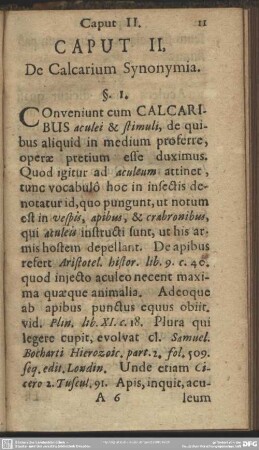 Caput II. De Calcarium Synonymia
