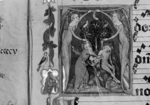 Initiale A: Erschaffung Evas