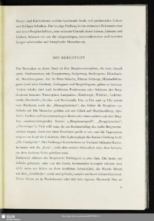 Die Bergstadt