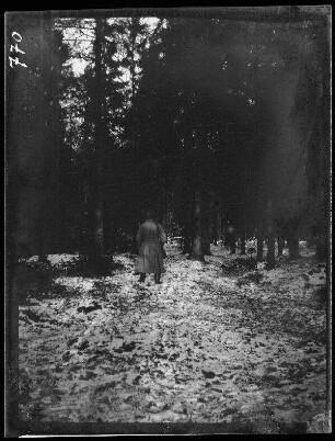 Komaika-Stellung (=Kamaja/Kamoja, Gewässer in Litauen): Rückansicht eines Offiziers im verschneiten Wald