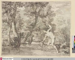 [Narcisssus erblickt sein Spiegelbild; Landscape with Narcissus Looking at Himself in the Water; Narcissus]