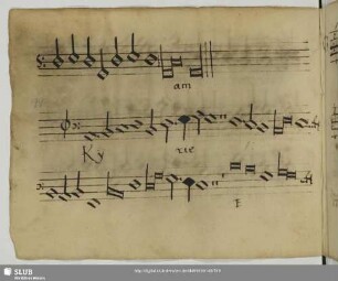 [Stoltzer, Thomas:] [Missa] [Beginn]