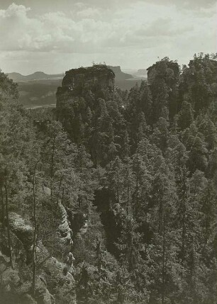 Raaber-Kessel : Raaber-Kessel, Waldeinsamkeit. Blick von der Großen Gans, von Nordwesten durch den Raaber-Kessel zur Kleinen Gans