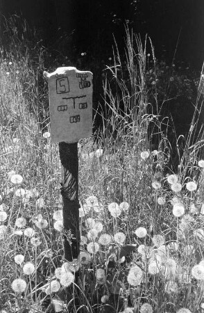 Berlin-Pankow : In Berlin-Pankow, Botanische Anlage