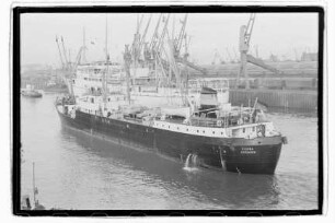 Fauna, Neptun.- Dampfschifffahrts-Gesellschaft „Neptun“, Neptun Linie, D.G. "Neptun", Bremen