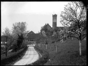 Bödigheim Schloss mit Auffahrt Ansicht von Süden - Blick auf die Burgruine, Bergfried und Schlosspavillonbau