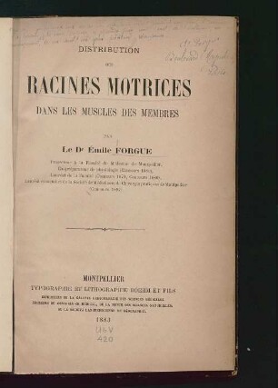 Distribution des racines motrices dans les muscles des membres