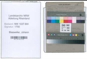 Entnazifizierung Johann Blasweiler , geb. 28.07.1899 (Ingenieur)