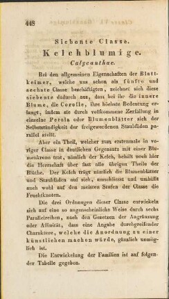 Siebente Classe. Kelchblumige