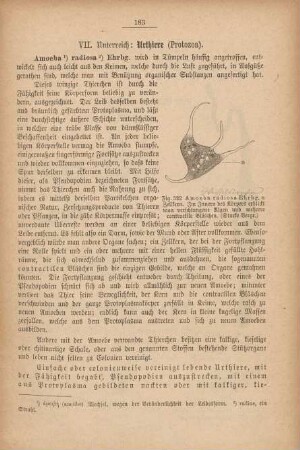 VII. Unterreich: Urthiere (Protozoa)