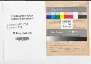 Entnazifizierung Wilhelm Boberg , geb. 08.11.1906 (Steige)