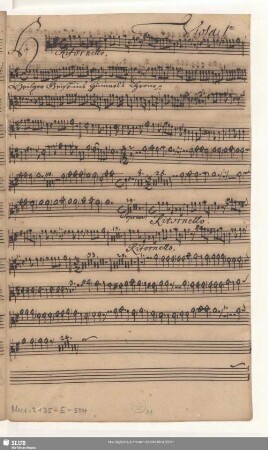 Viola 1[m]a