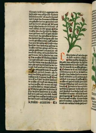 128v-129r, Lynsen (237. Kapitel)