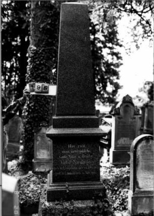 Grabstein 195