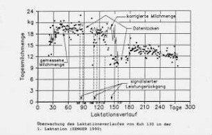 Überwachung des Laktationsverlaufes von Kuh 130 in der ersten Laktation