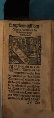 Hauspostil über die Sonntags- und Fest-Evangelia : der andere Th.