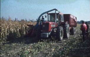 Fotografie: Futtererntetechnik, Feldhäcksler selbstfahrend, Maissilage, Maisvorsatz, Muldenkipper