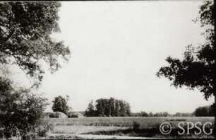 Branitz, Park.