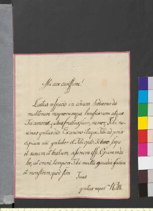 Brief von Goethe, Walther Wolfgang von an Goethe, Johann Wolfgang von