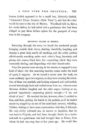 Runaway Slaves in Mexico