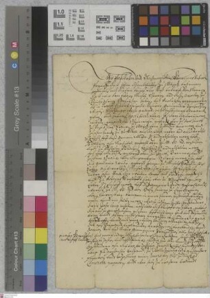 Biebesheim: Leihbrief und Revers der Mainzer Domcapitularischen Präsenz Schetzlings Wiesen zu Biebesheim
