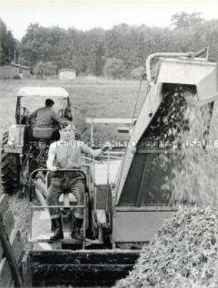 Auszubildende der Betriebsberufsschule Schwechow des VEG Pritzier auf einer Erntemaschine
