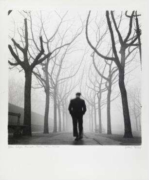Allee Edgar Quinet, Paris, 1952