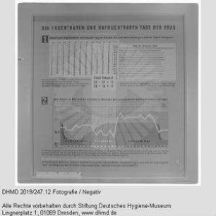 Nationale Hygiene-Ausstellung - Raum 14 - "Die fruchtbaren und unfruchtbaren Tage der Frau"