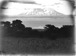 Kibo im Kilimandscharo-Massiv : Blick über die Savanne auf den Berg Kibo im Kilimandscharo-Massiv