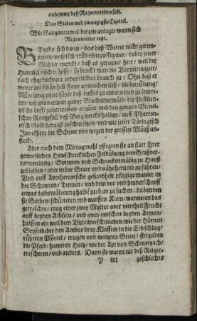 Das Sieben und zwantzigste Capitel.