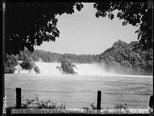 Schloss Lauffen und Rheinfall