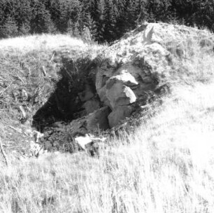 Bad Brambach-Hohendorf. Aufgelassener Steinbruch (Granit) südwestlich der Deckerhäuser
