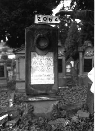 Grabstein 2054 (Index: 100096938) Maße HxBxT: 155x48x24 cm Besonderheit: Seite im Bamberger Memorbuch fehlt: Grabstein 2054