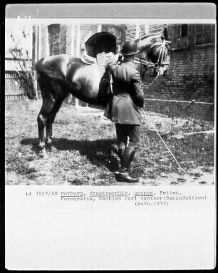 Reiter und Pferd