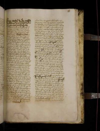 Bertholdus Ratisbonensis: Dominica in passione domini. (T23)